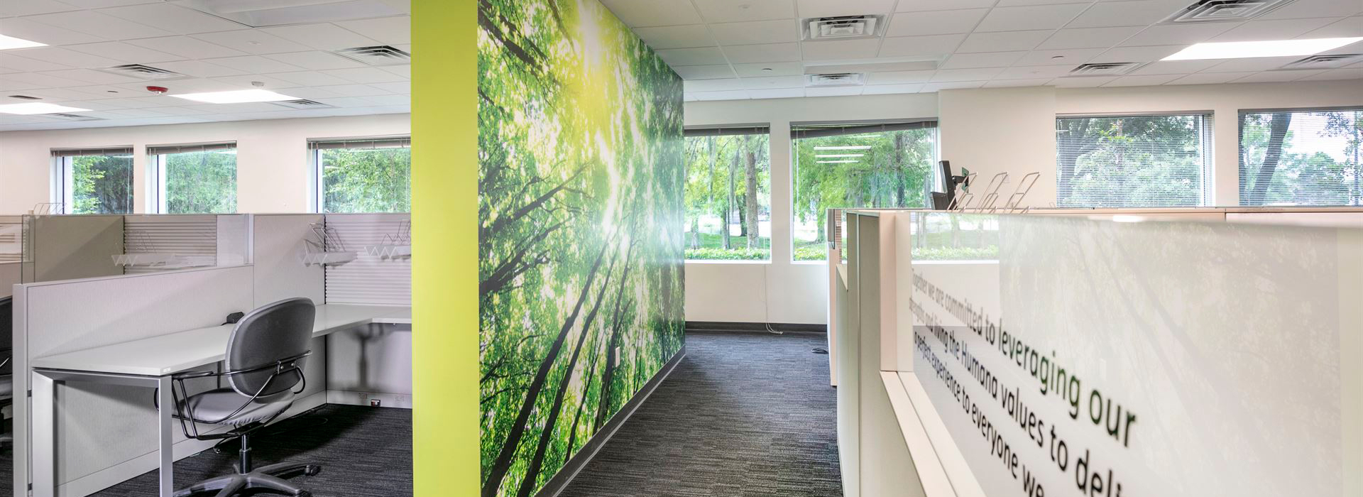 EMERSON ADDRESS visual data 5